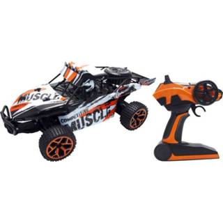 👉 Modelauto Amewi 22220 Extreme D5 1:18 RC voor beginners Elektro Buggy 4WD Incl. accu, oplader en batterijen de zender 4260476353086