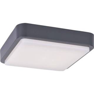 👉 Paul Neuhaus QÂ® LED-plafondlamp voor buiten QÂ®-Lenny LED vast ingebouwd 19.6 W RGBW 4012248312391