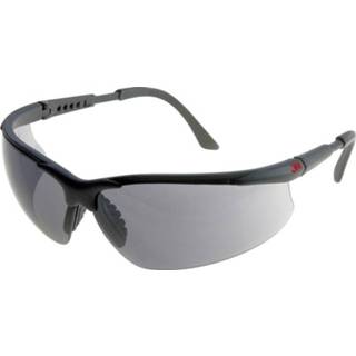 👉 Veiligheidsbril polycarbonaat Veiligheidsbrillen 2751 3M EN 166 4046719295883