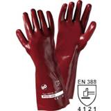 👉 Handschoenen PVC XL Leipold + DÃ¶hle 1482 PVC-handschoen Maat (handschoen): 10, 4005781148213
