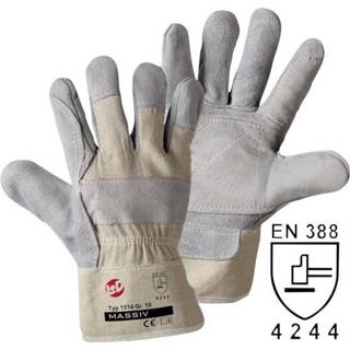 👉 Handschoenen XL Leipold + DÃ¶hle 1514 Handschoen MASSIV Rundsplitsleer Maat (handschoen): 10, 4005781151428