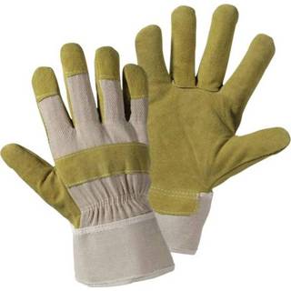 👉 Handschoenen leer XL Upixx 1521 Handschoen van splitleder Fijn Maat (handschoen): 10.5, 4005781152111