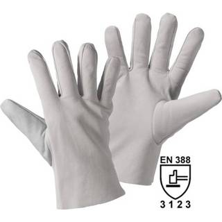 👉 Worky 1700 Geheel leren handschoen NAPPA Nappaleer Maat (handschoen): 11, XXL