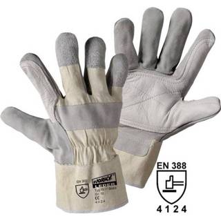 👉 Handschoenen XL Worky 1517 Stabil handschoen Rundsplitleder Maat (handschoen): 10, 4005781151725
