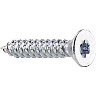 Plaatschroeven Torx staal verzinkt N/A 839573 Plaatschroef staal Plaatschroeven 4.2 mm 9.5 Torx N/A verzinkt 100 stuks 839573 4036911203090