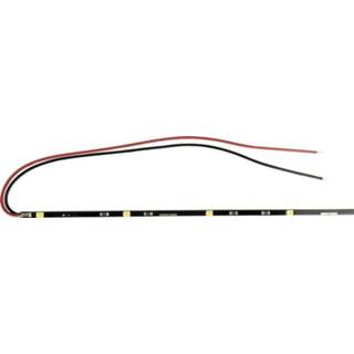 Conrad Components LED-strip met open kabeleind 12 V 33 cm Warm-wit 1343331
