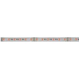 👉 Ledstrip Paulmann LED-strip uitbreidingsset met stekker 24 V 100 cm RGB MaxLED 70570 4000870705704