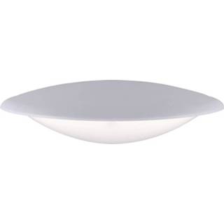 👉 Wit Buiten LED-wandlamp 6 W Paul Neuhaus Willy 9660-16 4012248312971