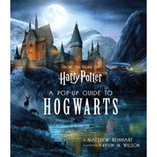 👉 Harry Potter A Pop-Up Guide to Hogwarts - Boek Matthew Reinhart (9047626338) 9789047626336