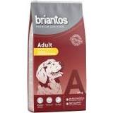 👉 Honden voer Briantos Adult Kip & Rijst Hondenvoer - 3 kg