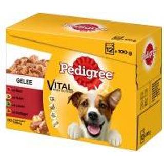 👉 Pedigree Maaltijdzakjes Multipak - 48 x 100 g in Gelei