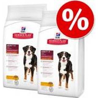 👉 Honden voer 2 x 12 kg Hill's Science Plan Adult - Performance Kip Hondenvoer