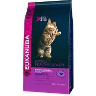 👉 Katten voer Eukanuba Healthy Start Kitten Kattenvoer - Dubbelpak 2 x 4 kg 8710255121703