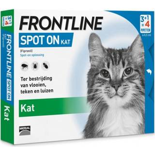 👉 Pipet active Frontline Spot On Kat 4 pipetten 8713942401638