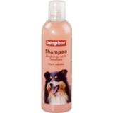 👉 Shampoo active Beaphar Hond Langharige Vacht 250 ml 8711231182923