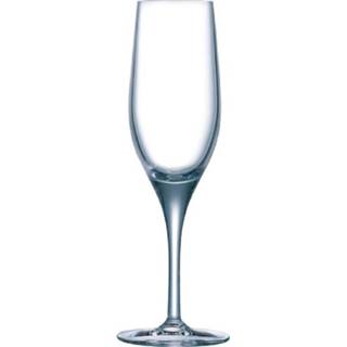 👉 Champagneglas Chef & Sommelier Sensation Exalt champagneglazen 19cl - 24