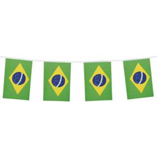 👉 Vlaggenlijn Polyester Brazili (4 m)