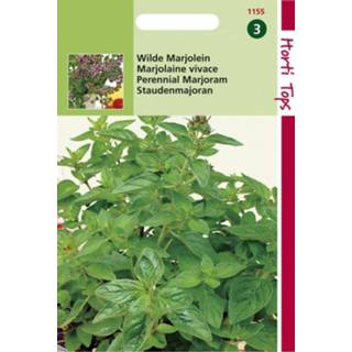 👉 Kruidenzaad Hortitops Marjolein Origanum vulgare (Oregano)/Rosebloeiend/O.Vulgare - Kruidenzaden 0,25 gram