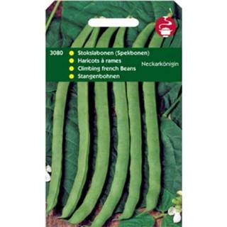 👉 Groentezaad Hortitops Stokspekbonen Phaseolus Vulgaris L. Neckarkönigin (Type Phenomeen) - Groentezaden 100 gram