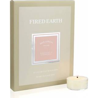 👉 Damask wax rose Lyrical Fired Earth Tealights Darjeeling & 5015802178609