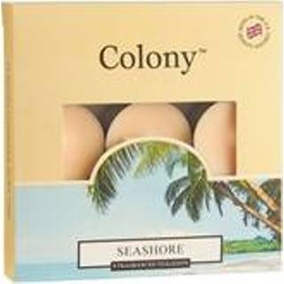 👉 Wax Lyrical Colony 9 Waxinelichtje Seashore 5015802125078