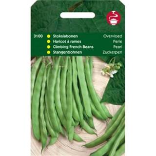 👉 Groentezaad Hortitops Stokslabonen Phaseolus Vulgaris L. Overvloed, Type Rentegever - Groentezaden 100 gram
