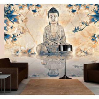 👉 Fotobehang - Boeddha van voorspoed 5902875824468