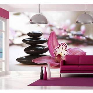 👉 Fotobehang - Ontspanning Orchidee 5902875799896