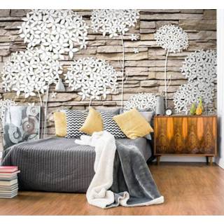 👉 Fotobehang - Bloemen op de muur 5902875761930