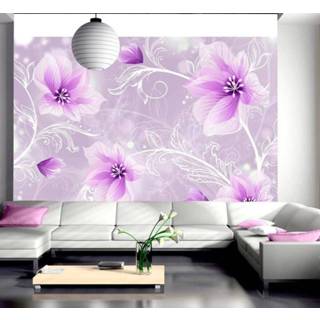 👉 Foto behang Fotobehang - Mysterieus plezier 5902875614106