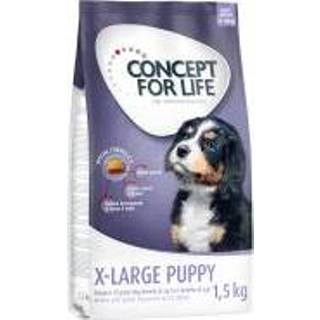 👉 1,5 kg Concept for Life X-Large Puppy Hondenvoer