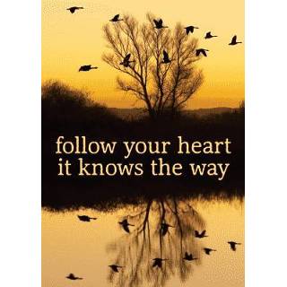 👉 Ansichtkaart active Ansichtkaarten Follow your Heart 8718274605402