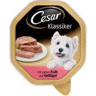 👉 Megapack Cesar Cups 14 x 150 g - Klassieker met gevogelte en rund