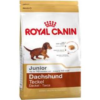 Royal Canin Dachshund Junior Royal Canin Dachshund Junior - 1,5 kg 3182550722575