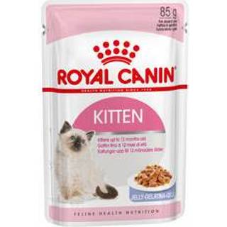 👉 Jelly Royal Canin Kitten in - 12 x 85 g 9003579311783
