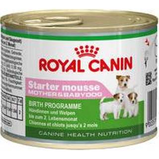 👉 Baby's Royal Canin Starter Mousse Mother & Babydog - 12 x 195 g 9003579311462