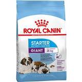👉 Baby's Royal Canin Giant Starter Mother & Babydog - 15 kg 3182550778831