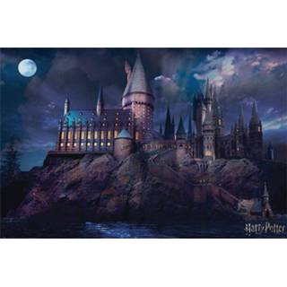 👉 Poster standard unisex meerkleurig Harry Potter Hogwarts 5050574343695