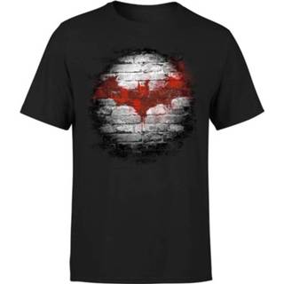 👉 Shirt zwart s male DC Comics Batman Logo Wall T-shirt - 5056253813084