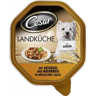 👉 Cesar Cuisine Mini-Filets met Rundvlees, Pasta en Wortelen in Saus 150 g