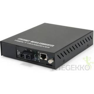 👉 LevelOne FVM-1101 100Mbit/s 1310nm Zwart netwerk media converter