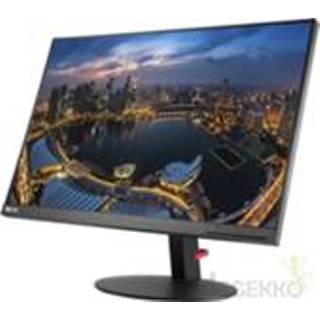 👉 Lenovo ThinkVision T24d 24  Full HD IPS Zwart computer monitor