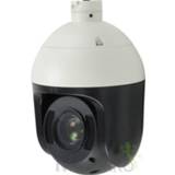 👉 Zwart wit LevelOne FCS-4048 IP-beveiligingscamera Binnen & buiten Dome Zwart, 1920 x 1080Pixels 4015867203873