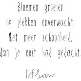 👉 Lief Leven | Quote Schoonheid