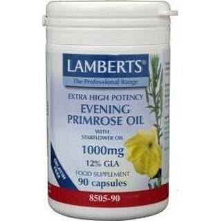 👉 Lamberts Teunisbloem met borage