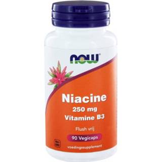 👉 Vitamine NOW Foods B3 Niacine Flush vrij 250 mg