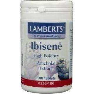 👉 Lamberts Ibisene