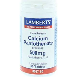 👉 Calcium Lamberts pantothenaat