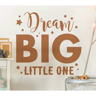 👉 Muursticker nederlands kinderen Kinderkamer Dream big little one