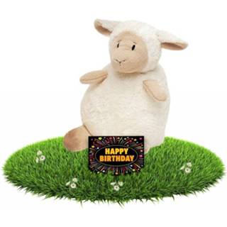 👉 Knuffel beige wit pluche kinderen Verjaardagcadeau schapen 16 cm + gratis verjaardagskaart